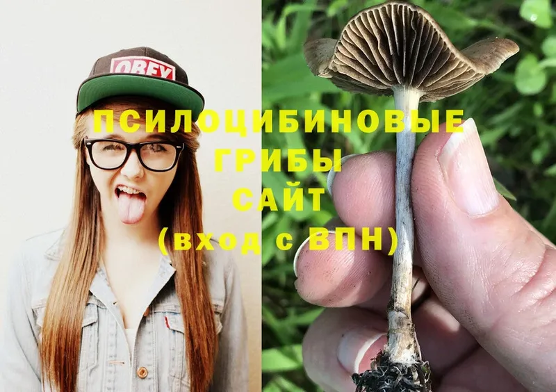 Галлюциногенные грибы Magic Shrooms  Югорск 